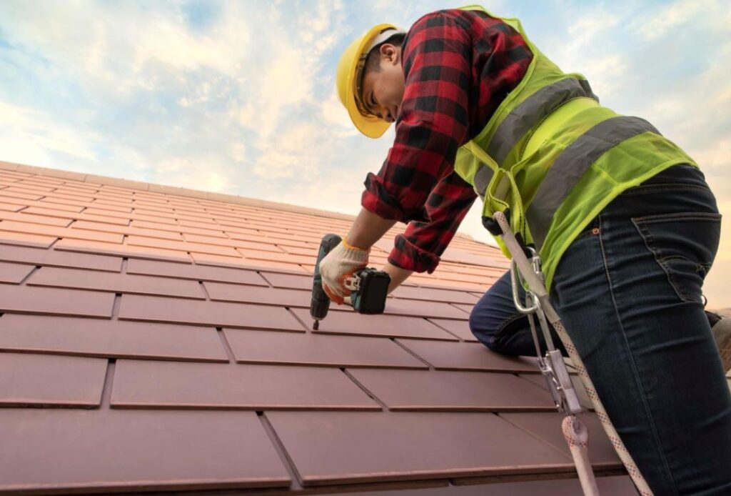 Roof Cleaning