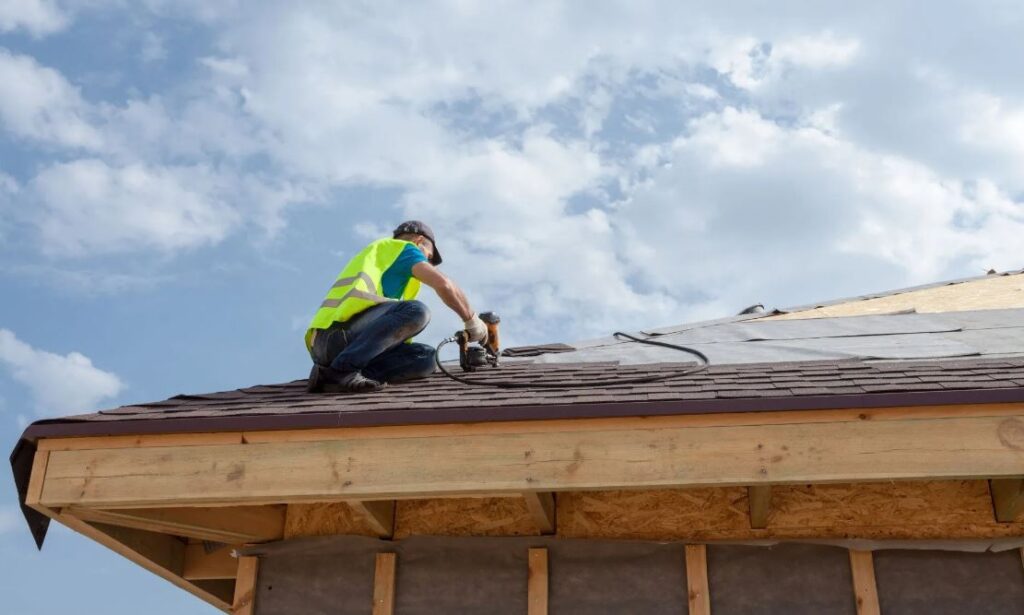 Roof Cleaning