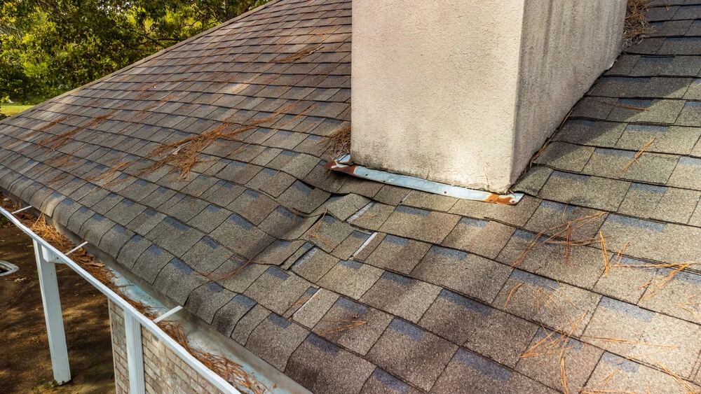 Roofing Maintenance