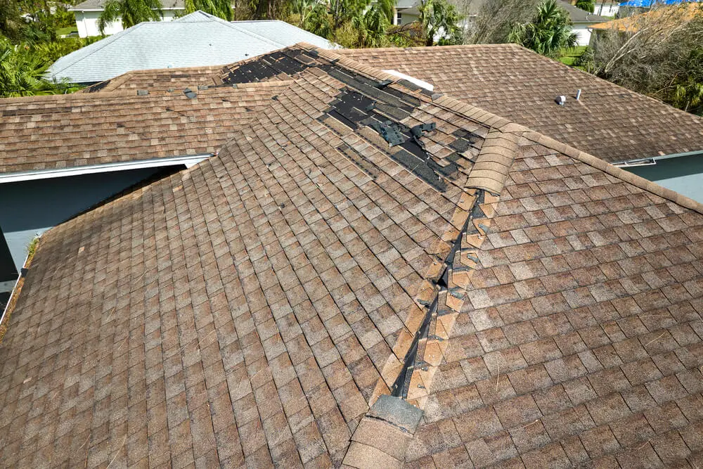 Roofing Maintenance